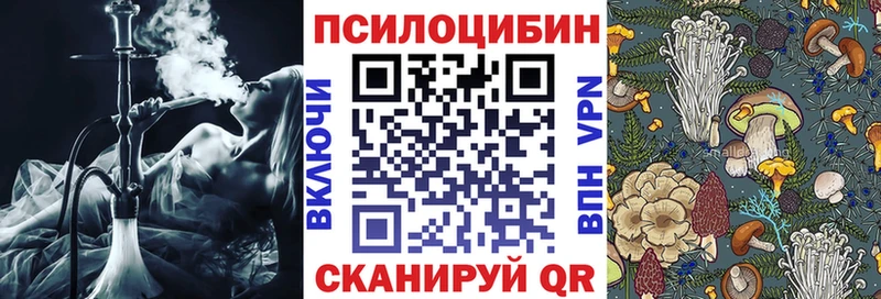 kraken рабочий сайт  Первомайск  Псилоцибиновые грибы GOLDEN TEACHER 